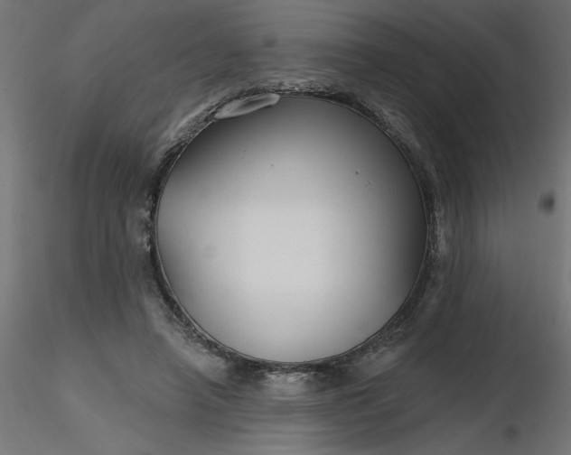 X0000116670450200912291702