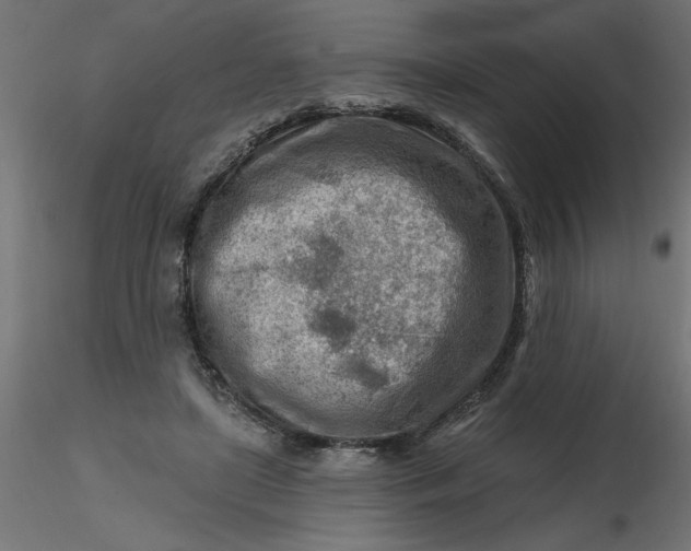 X0000116670451200912291702