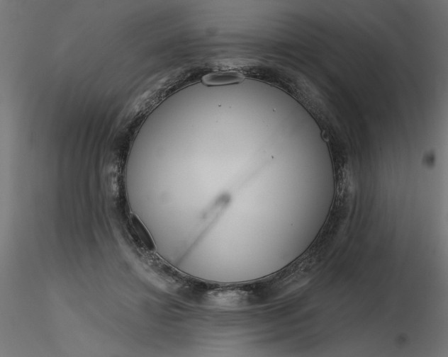 X0000116670452200912291702