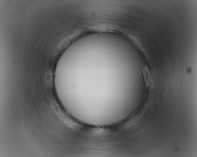 X0000116670453200912291702