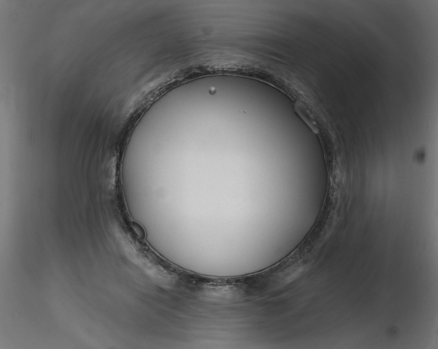 X0000116670454200912291702