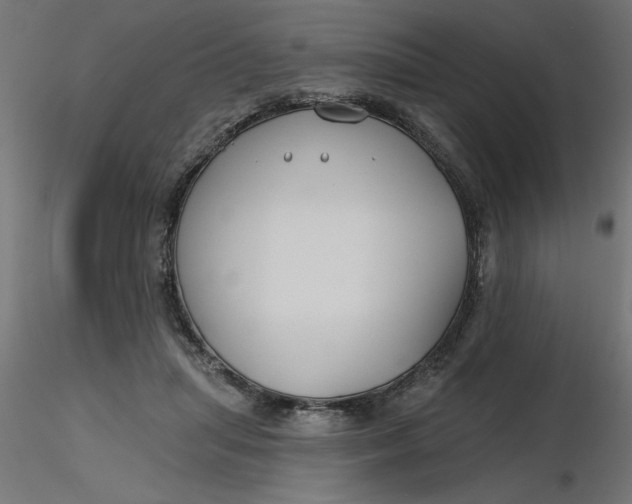 X0000116670455200912291702