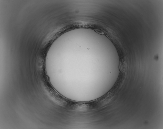 X0000116670456200912291702