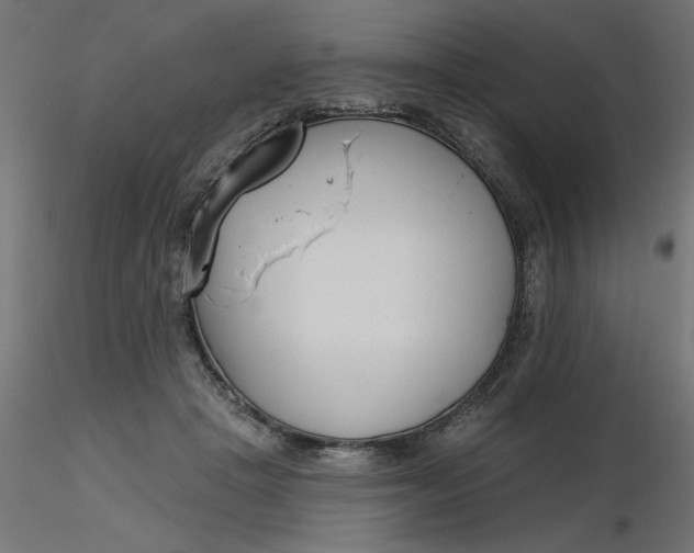 X0000116670457200912291702