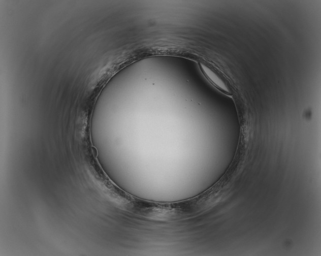 X0000116670458200912291702