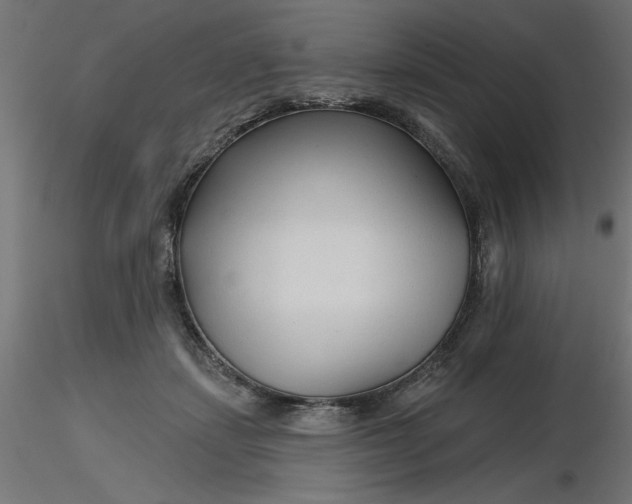 X0000116670459200912291702