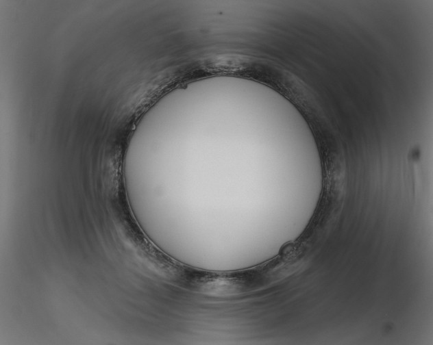 X0000116670460200912291702