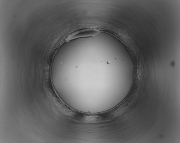 X0000116670461200912291702