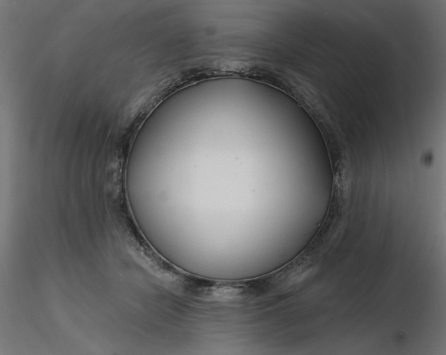 X0000116670462200912291702