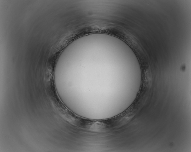 X0000116670463200912291702