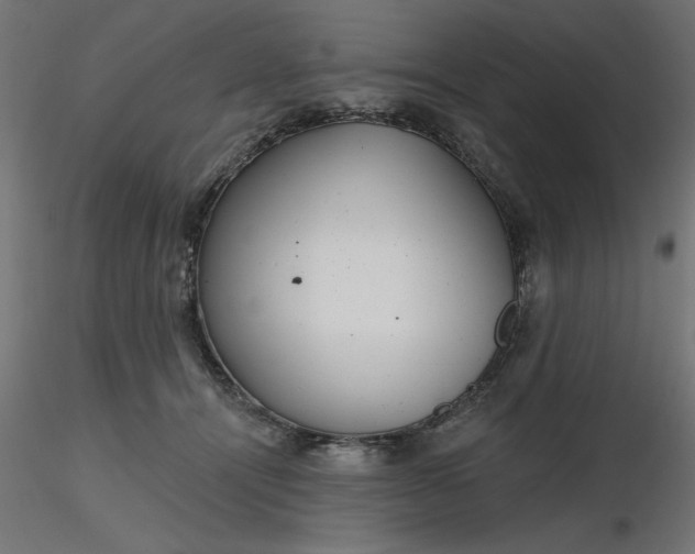 X0000116670464200912291702