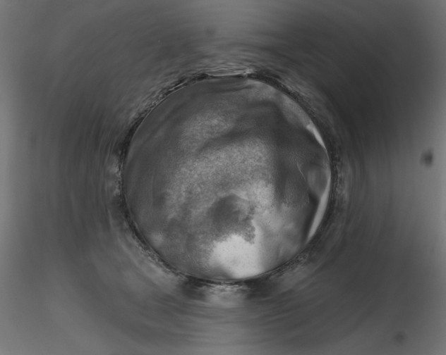 X0000116670465200912291702