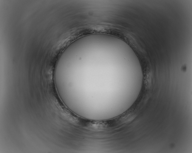 X0000116670466200912291702