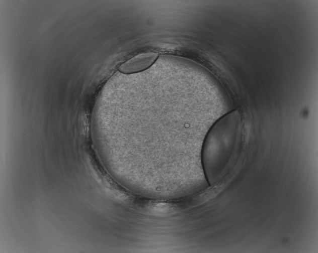 X0000116670467200912291702