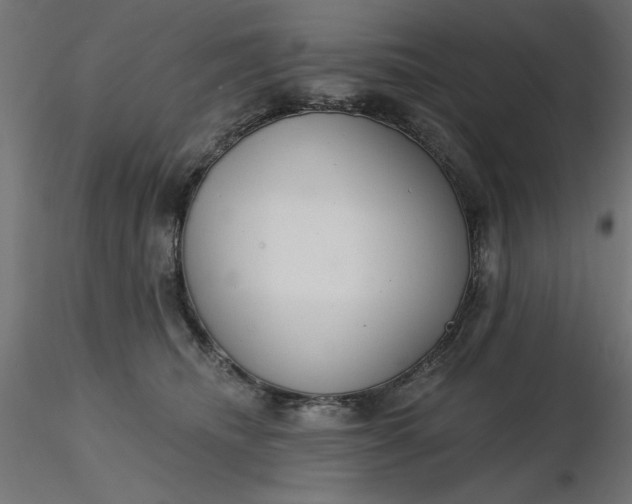 X0000116670468200912291702