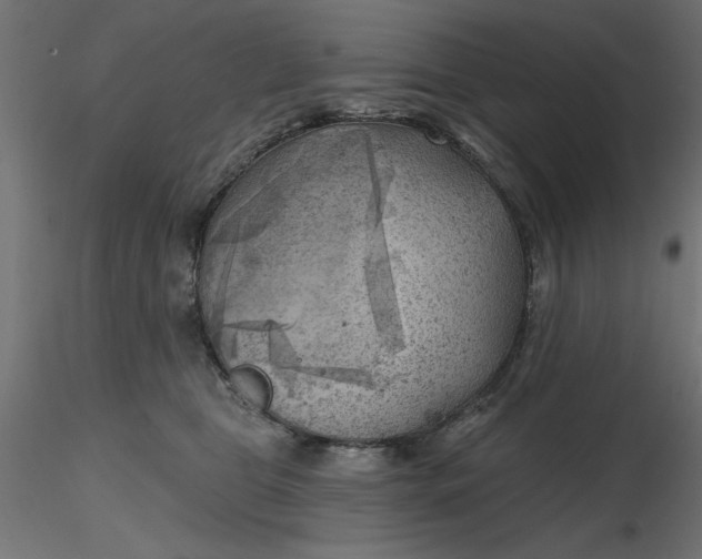 X0000116670469200912291702