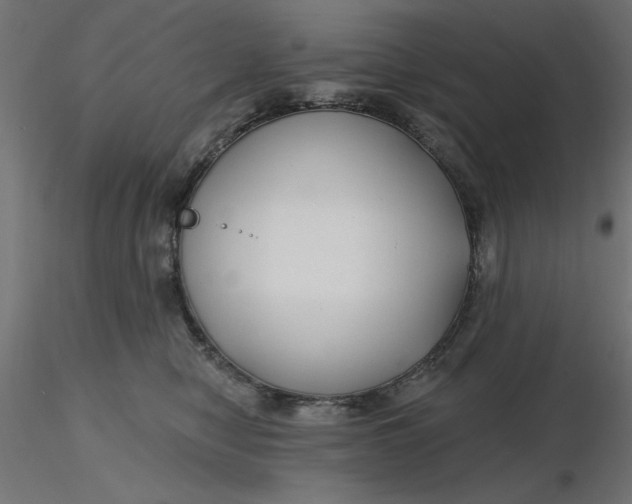 X0000116670470200912291702