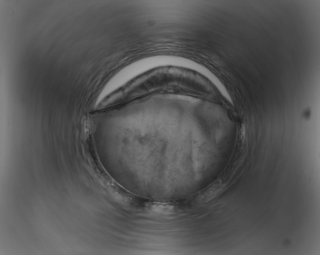 X0000116670471200912291702