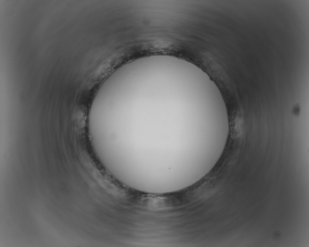 X0000116670472200912291702