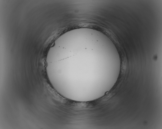 X0000116670473200912291702