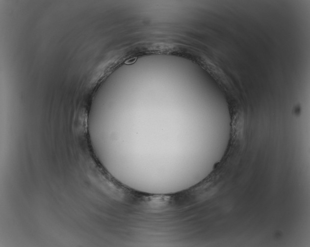 X0000116670474200912291702