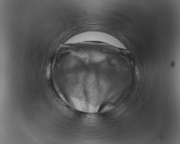 X0000116670475200912291702