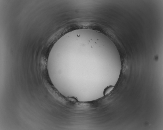 X0000116670476200912291702