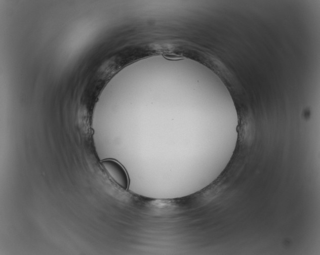 X0000116670477200912291702