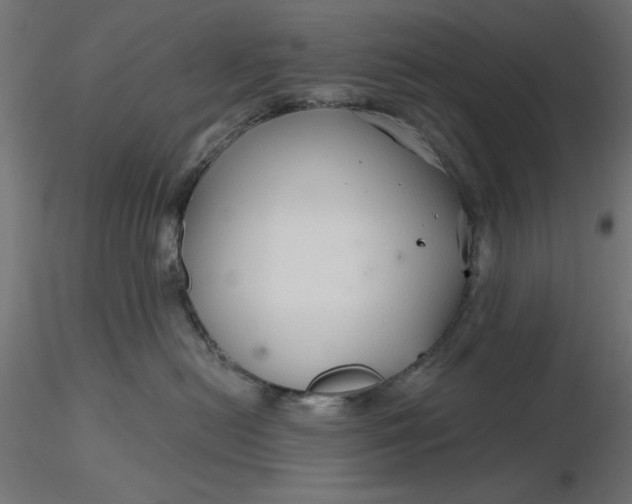 X0000116670478200912291702