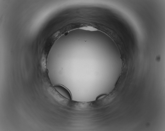 X0000116670479200912291702