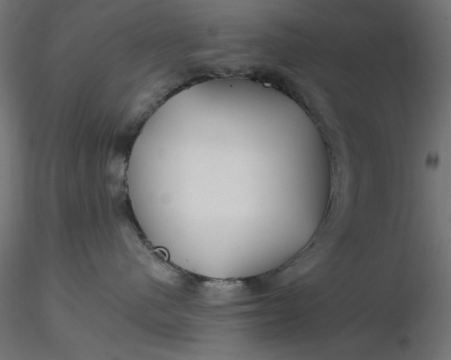 X0000116670480200912291702