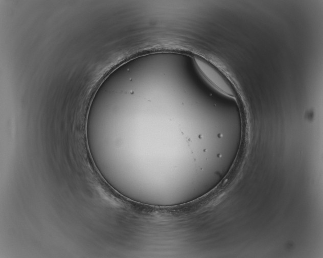 X0000116670481200912291701