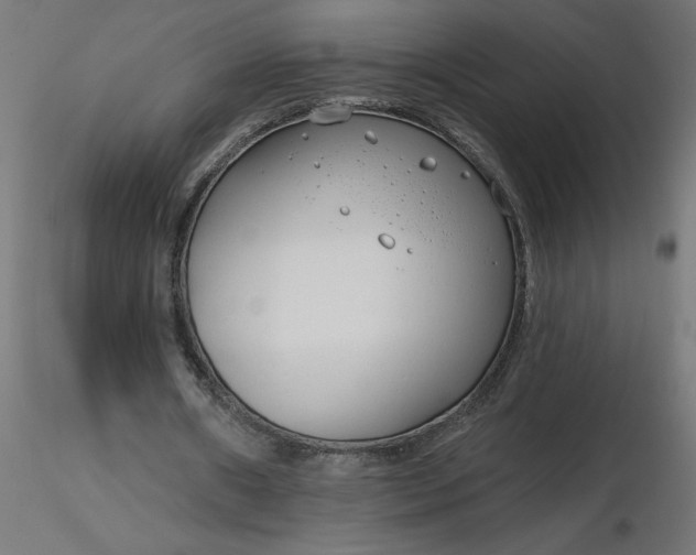 X0000116670482200912291701