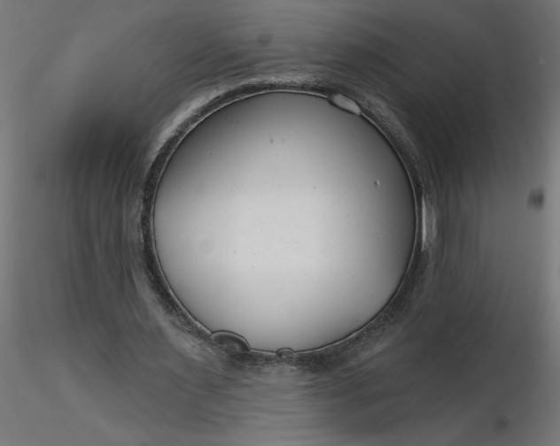 X0000116670483200912291701