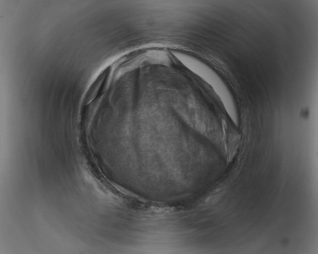 X0000116670484200912291701