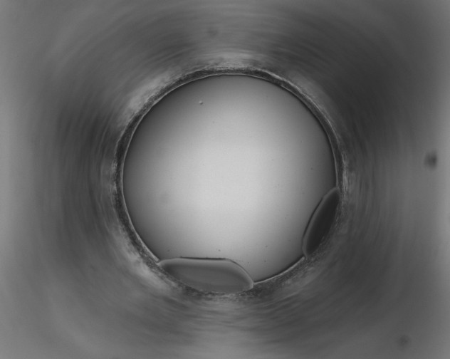 X0000116670485200912291701