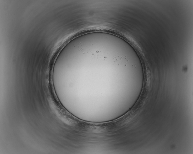 X0000116670486200912291701