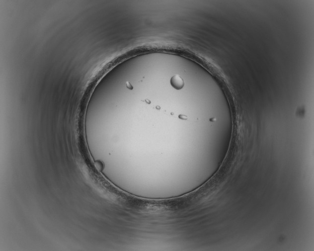 X0000116670487200912291701