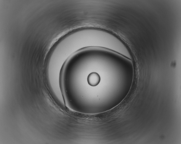 X0000116670488200912291701