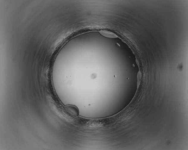 X0000116670491200912291701