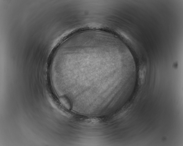 X0000116670492200912291701