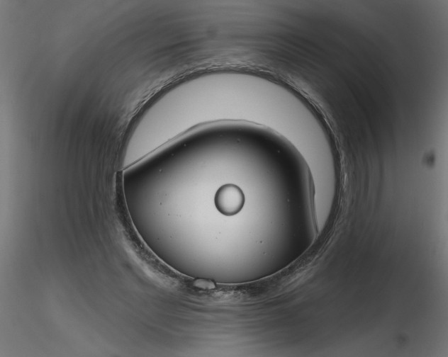 X0000116670493200912291701