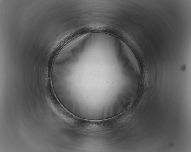 X0000116670494200912291701