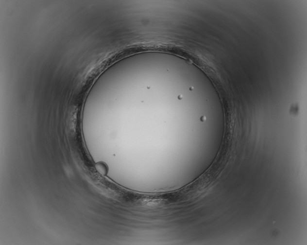 X0000116670495200912291701