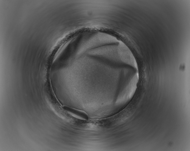 X0000116670496200912291701