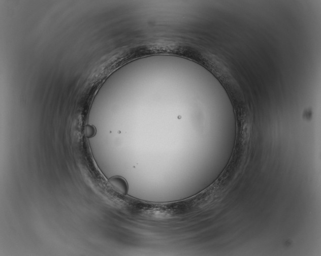 X0000116670498200912291701