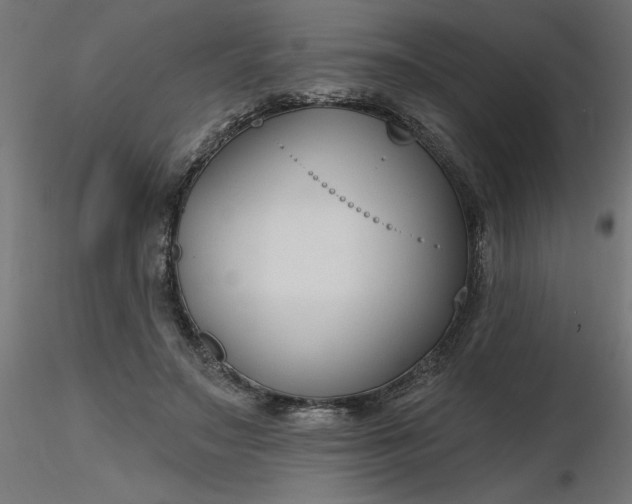 X0000116670499200912291701