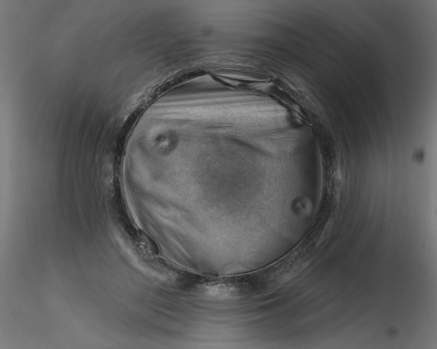 X0000116670500200912291701