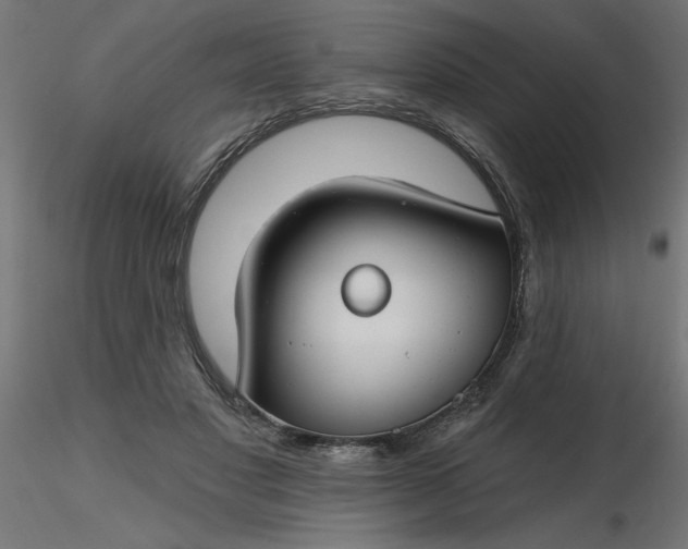 X0000116670501200912291701