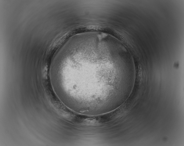 X0000116670502200912291701